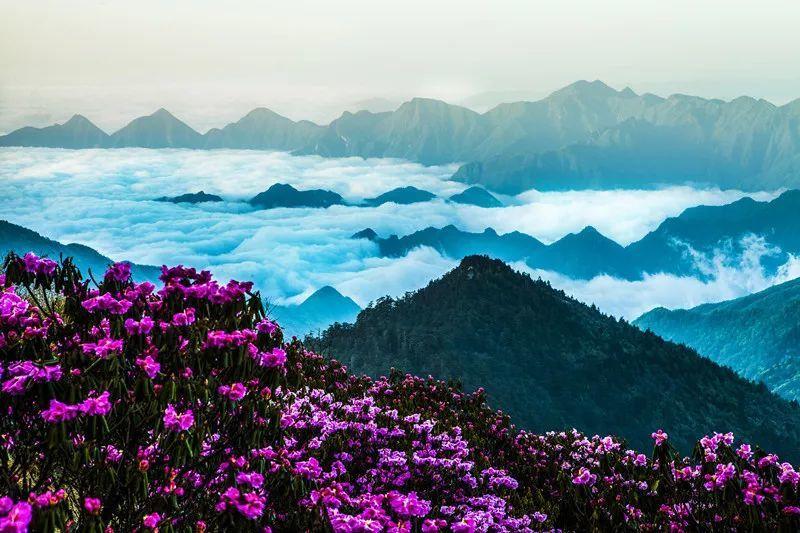 海贼船